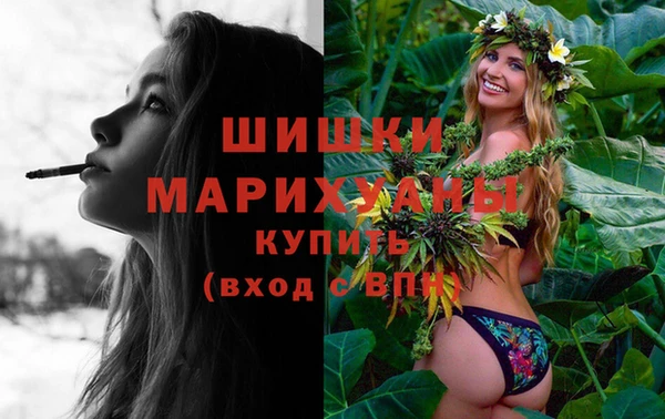 соль ск Белокуриха